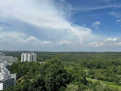 Eco Sanctuary (D23), Condominium #556966301